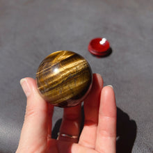 Load image into Gallery viewer, Natural Brown Tiger Eye Stone Sphere 40.5mm | Healing Stone Decor Holiday Gifts
