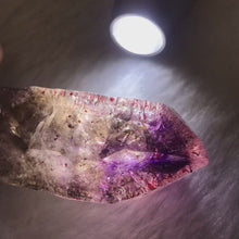 Load and play video in Gallery viewer, High Quality Super Seven Crystal Rare Scepter 48.9g High Vibration Frequency Raw Stone Powerful Healing for Seven Chakra Amethyst, Quartz, Smoky Quartz, Cacoxenite, Rutile, Goethite and Lepidocrocite

