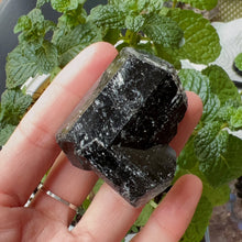 Load image into Gallery viewer, Top Grade Black Tourmaline Twins Raw Stone Perfect Formation 107g | Reiki Healing Protection Crystals
