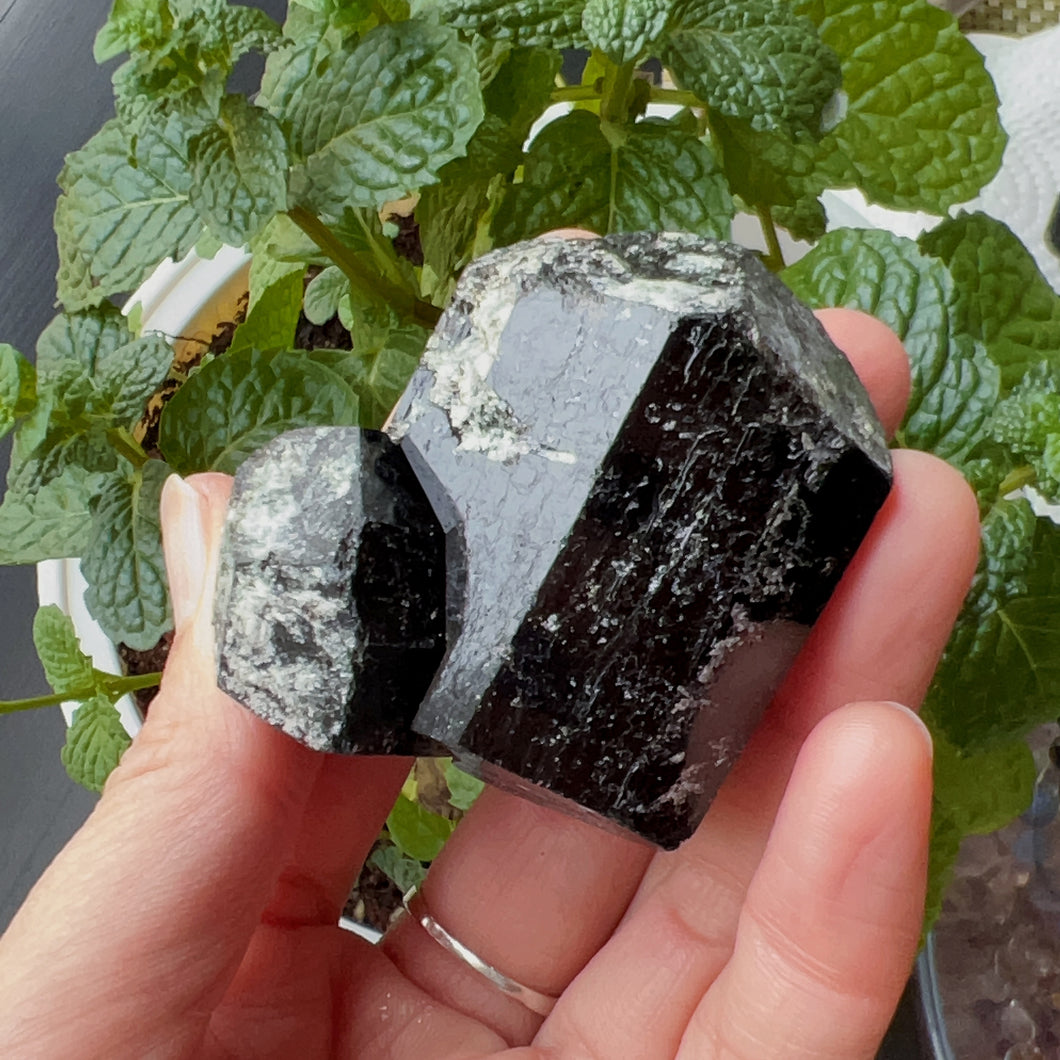 Top Grade Black Tourmaline Twins Raw Stone Perfect Formation 107g | Reiki Healing Protection Crystals