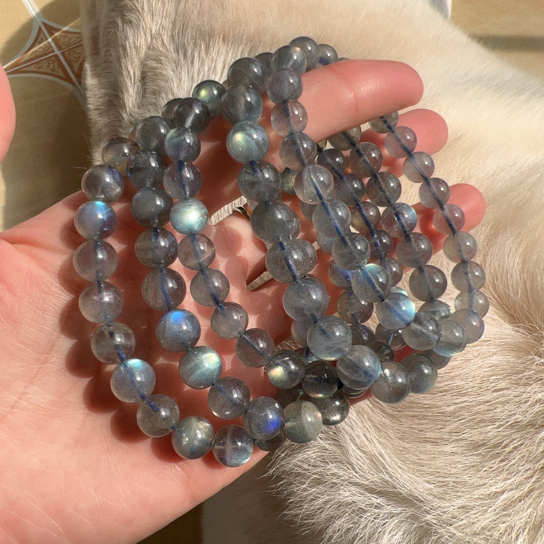 5 Bracelets Natural Strong Rainbow Flash Labradorite Round Beaded Bracelets for DIY Jewelry Project
